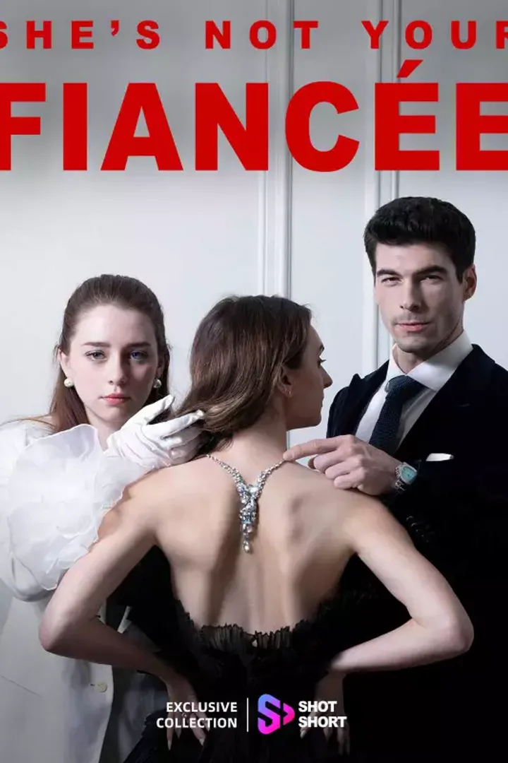 Poster She is not Your Fiancée