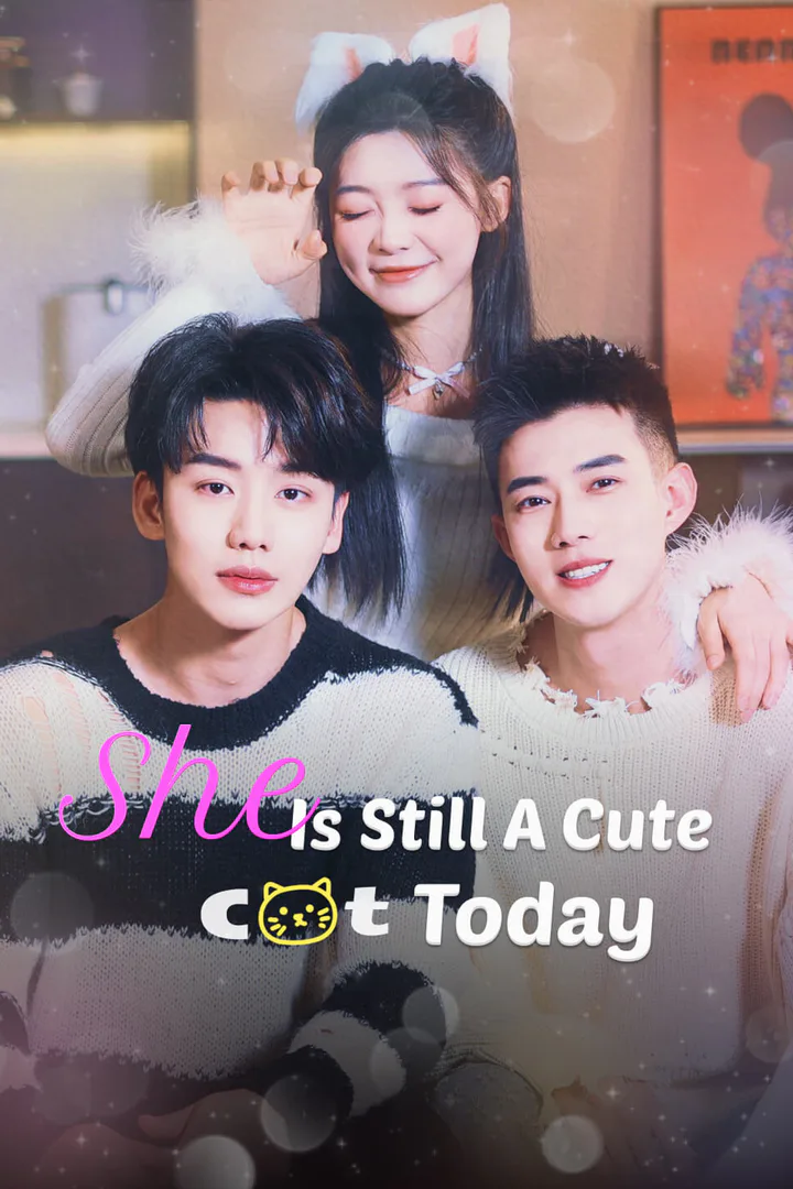 She Is still a Cute Cat Today poster