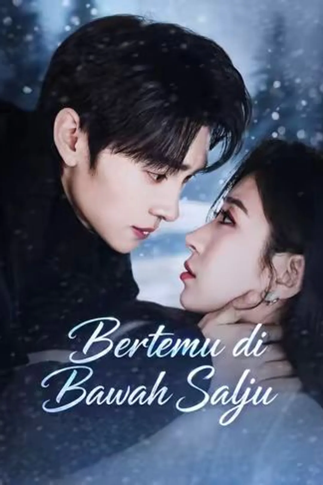 Poster Bertemu di Bawah Salju