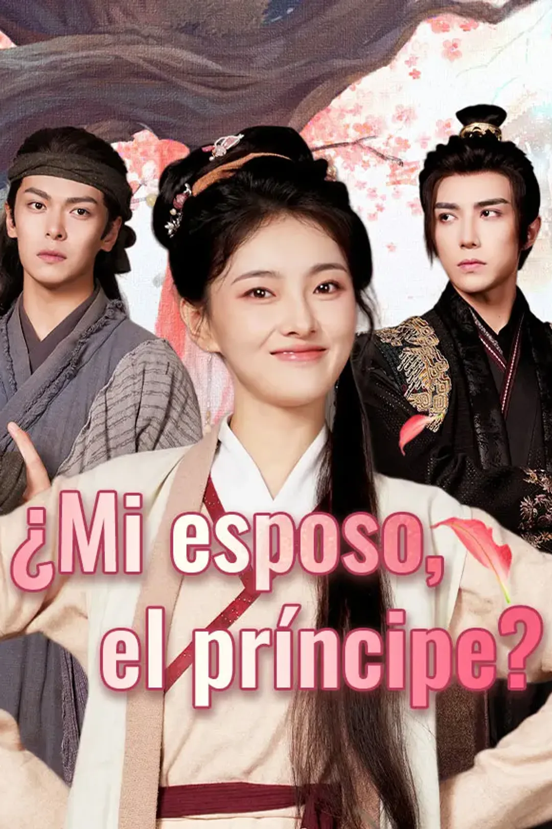 Póster de ¿Mi esposo, el príncipe?