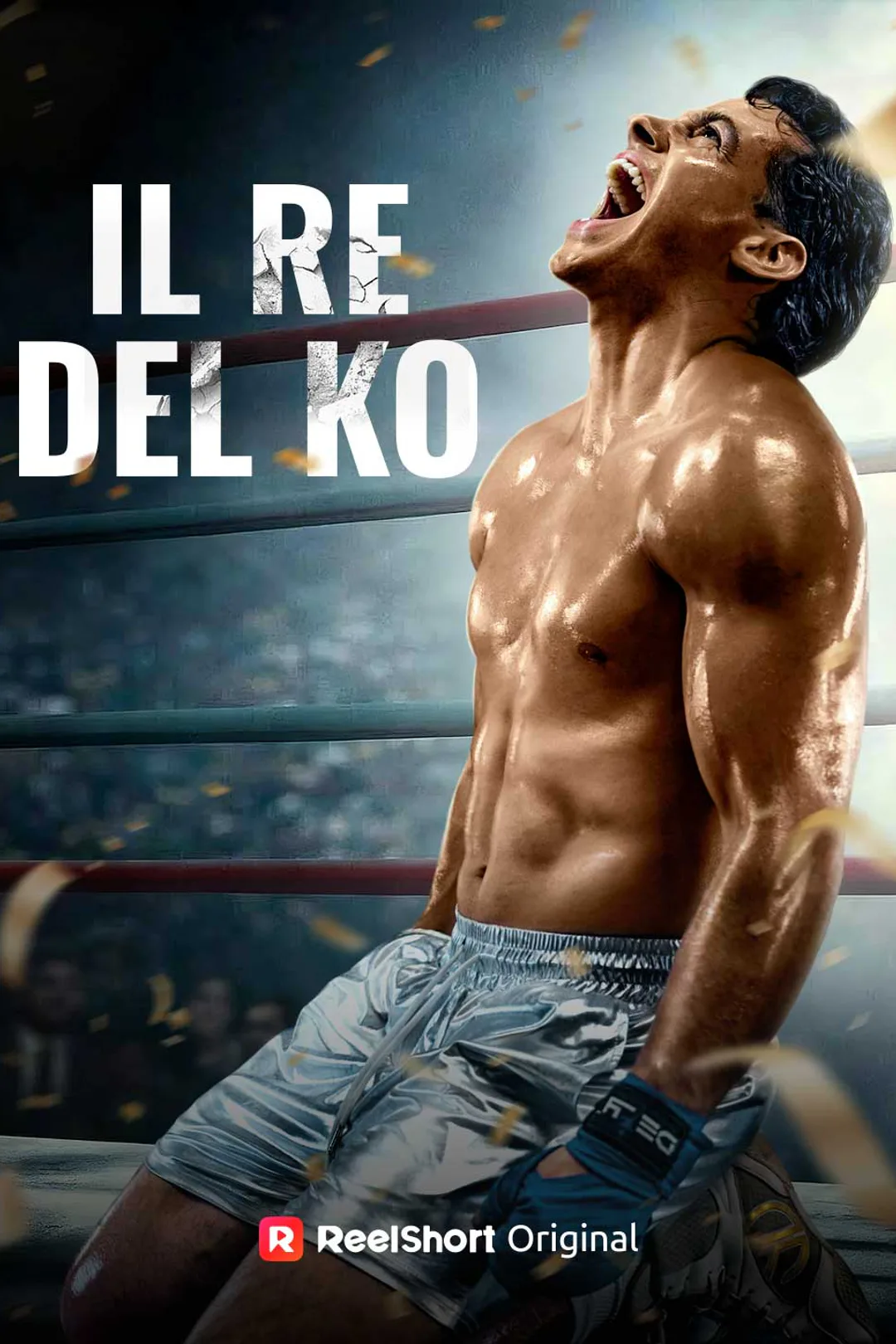Locandina di Il Re del KO