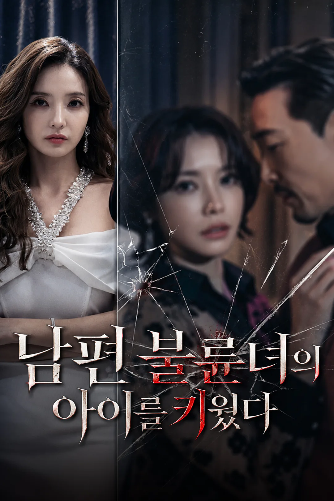 남편 불륜녀의 아이를 키웠다 포스터