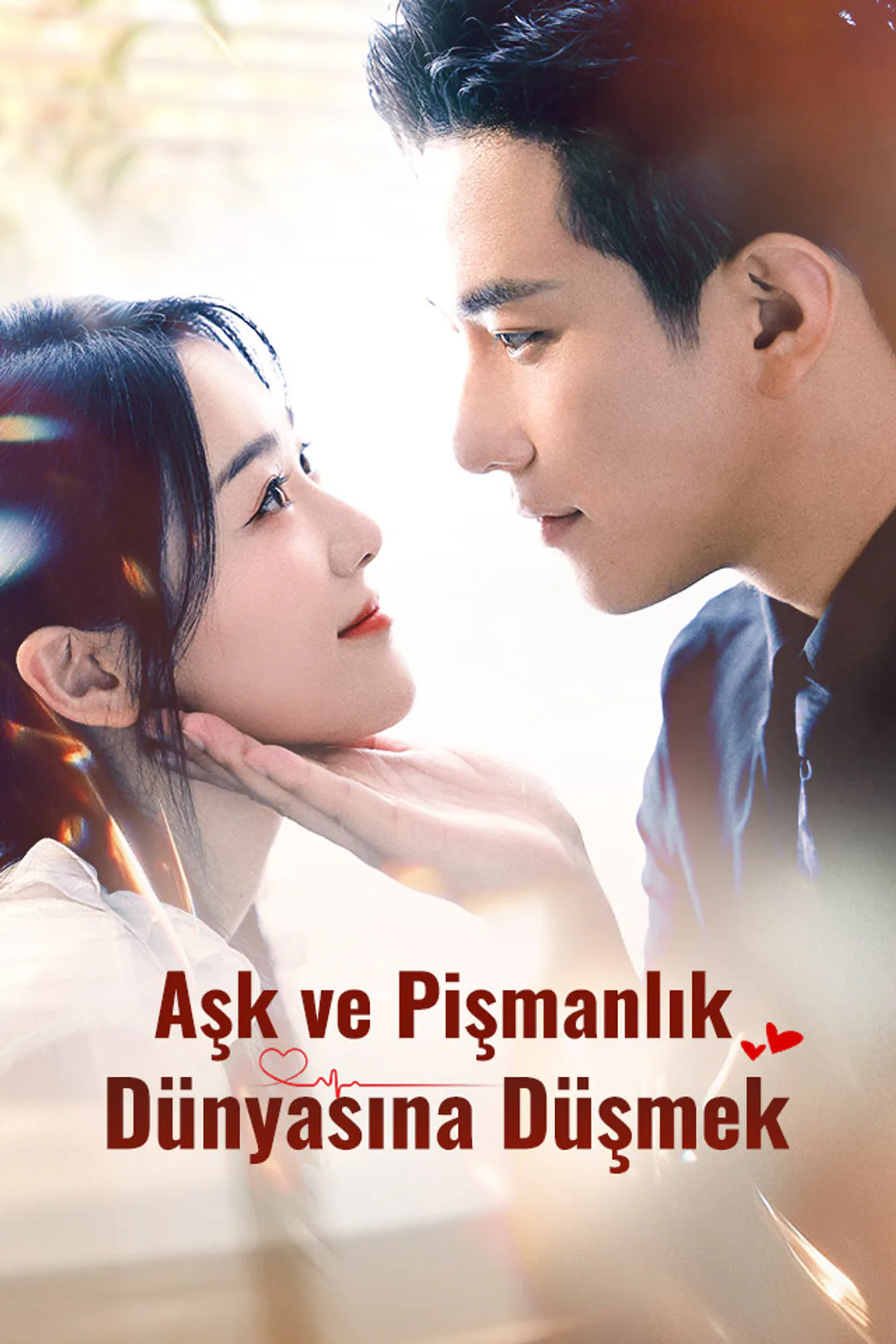 Aşk ve Pişmanlık Dünyasına Düşmek afişi