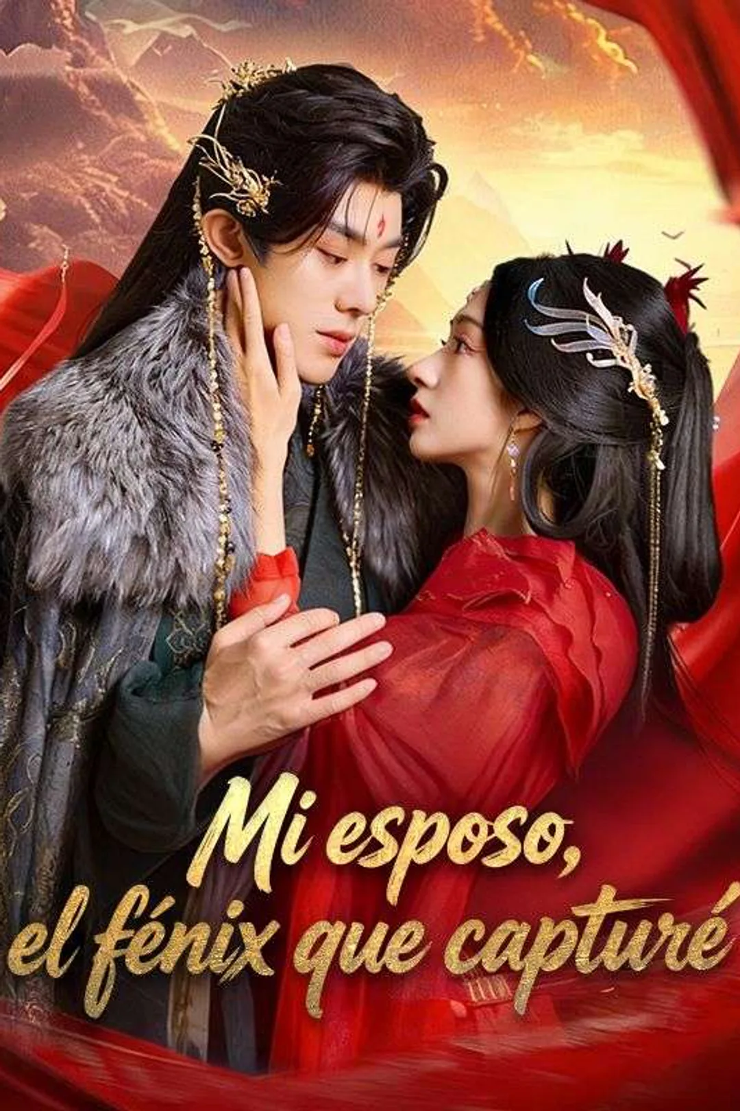 Póster de Mi esposo, el fénix que capturé