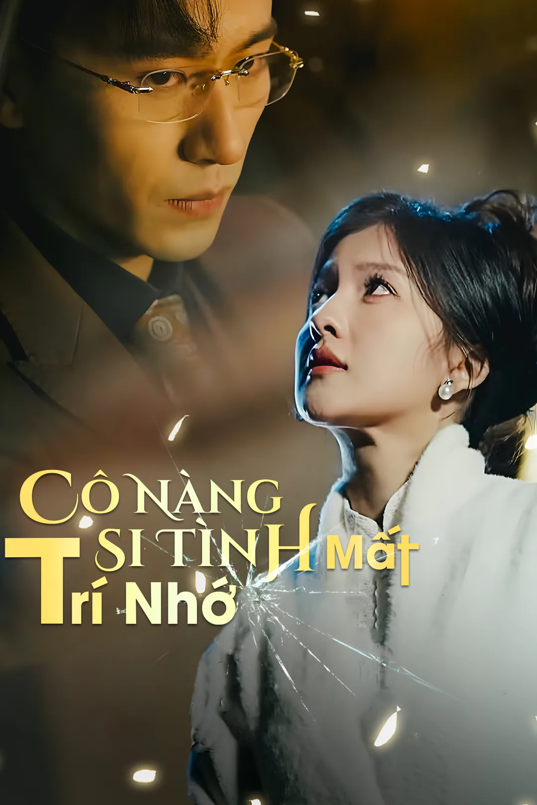 Poster phim Cô Nàng Si Tình Mất Trí Nhớ