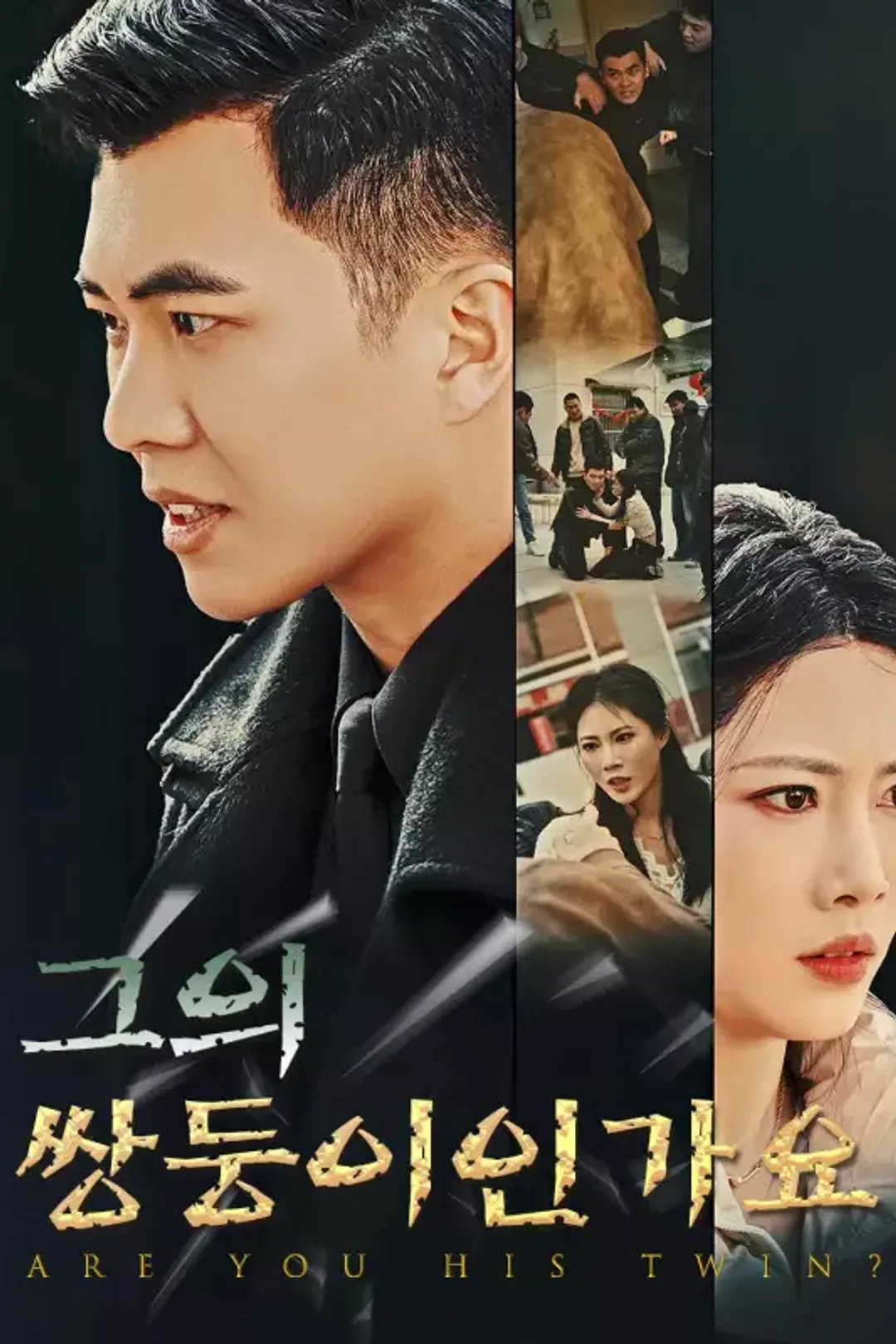 그의 쌍둥이인가요 포스터
