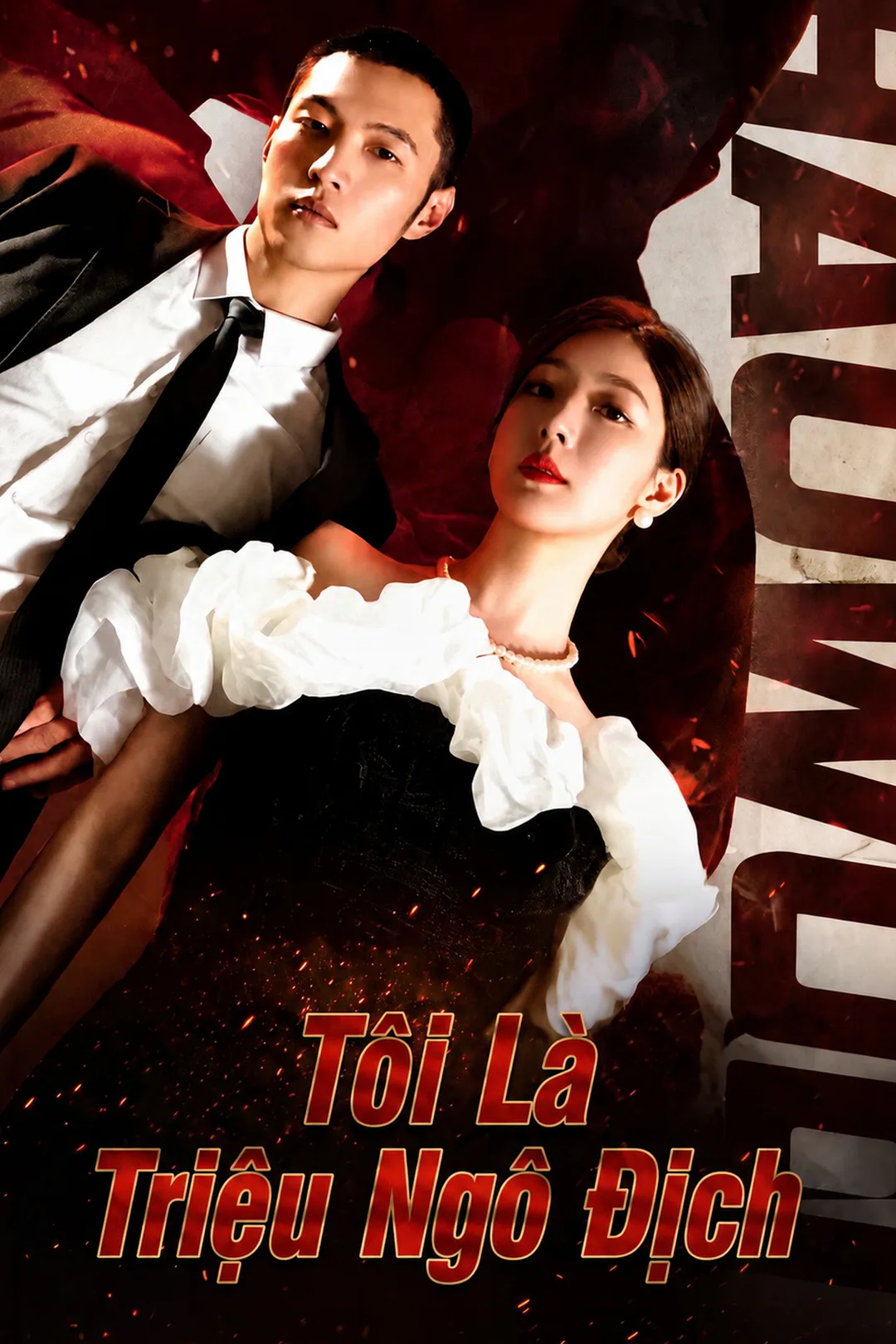Poster phim Tôi Là Triệu Ngô Địch