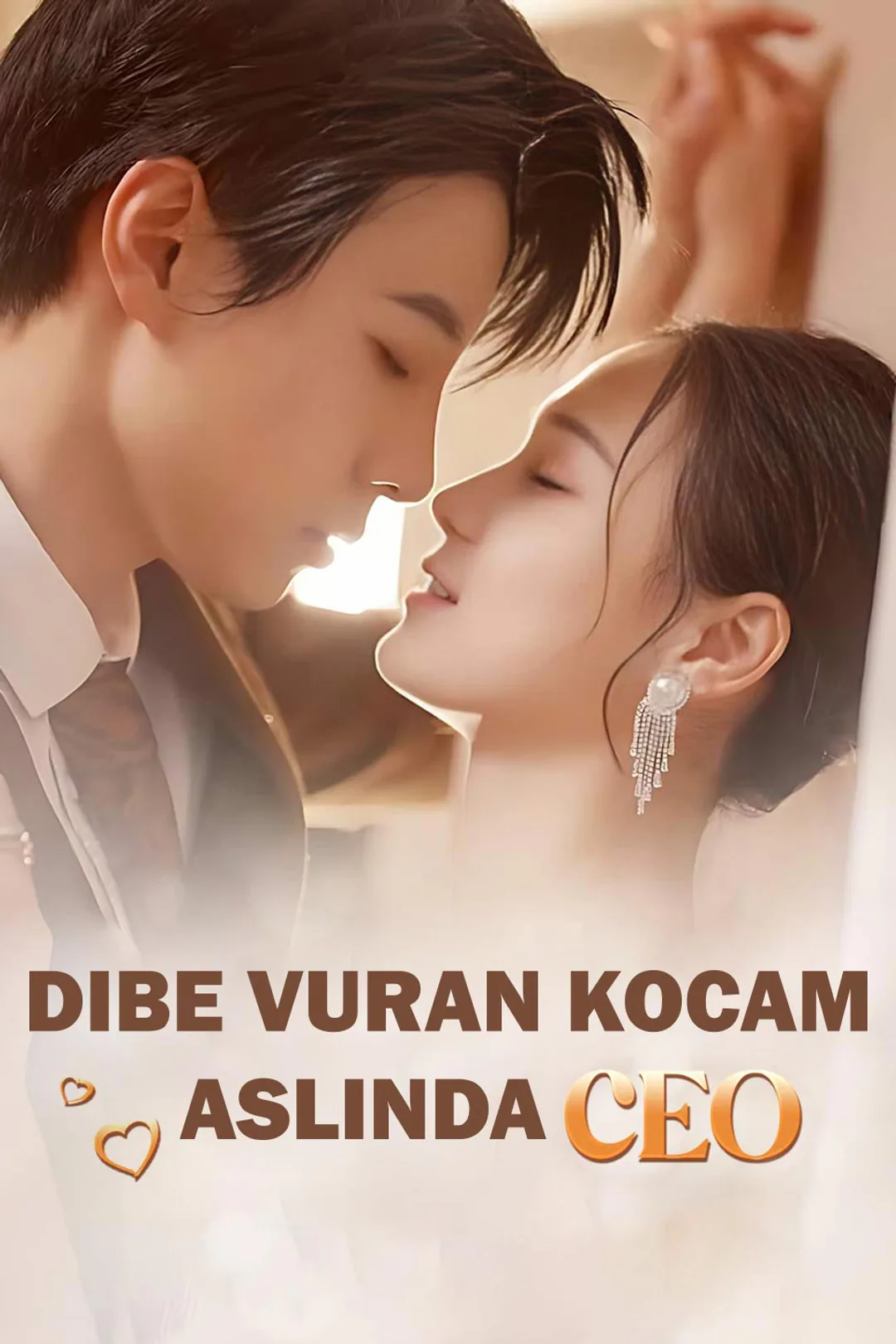 Dibe Vuran Kocam Aslında CEO afişi