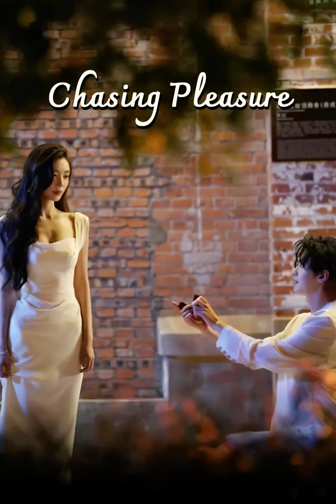 Chasing Pleasure poster