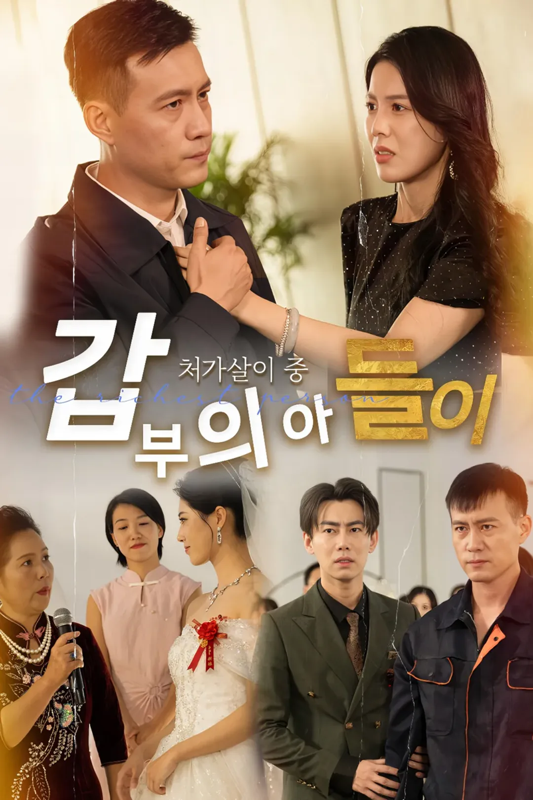 갑부의 아들이 처가살이 중 포스터