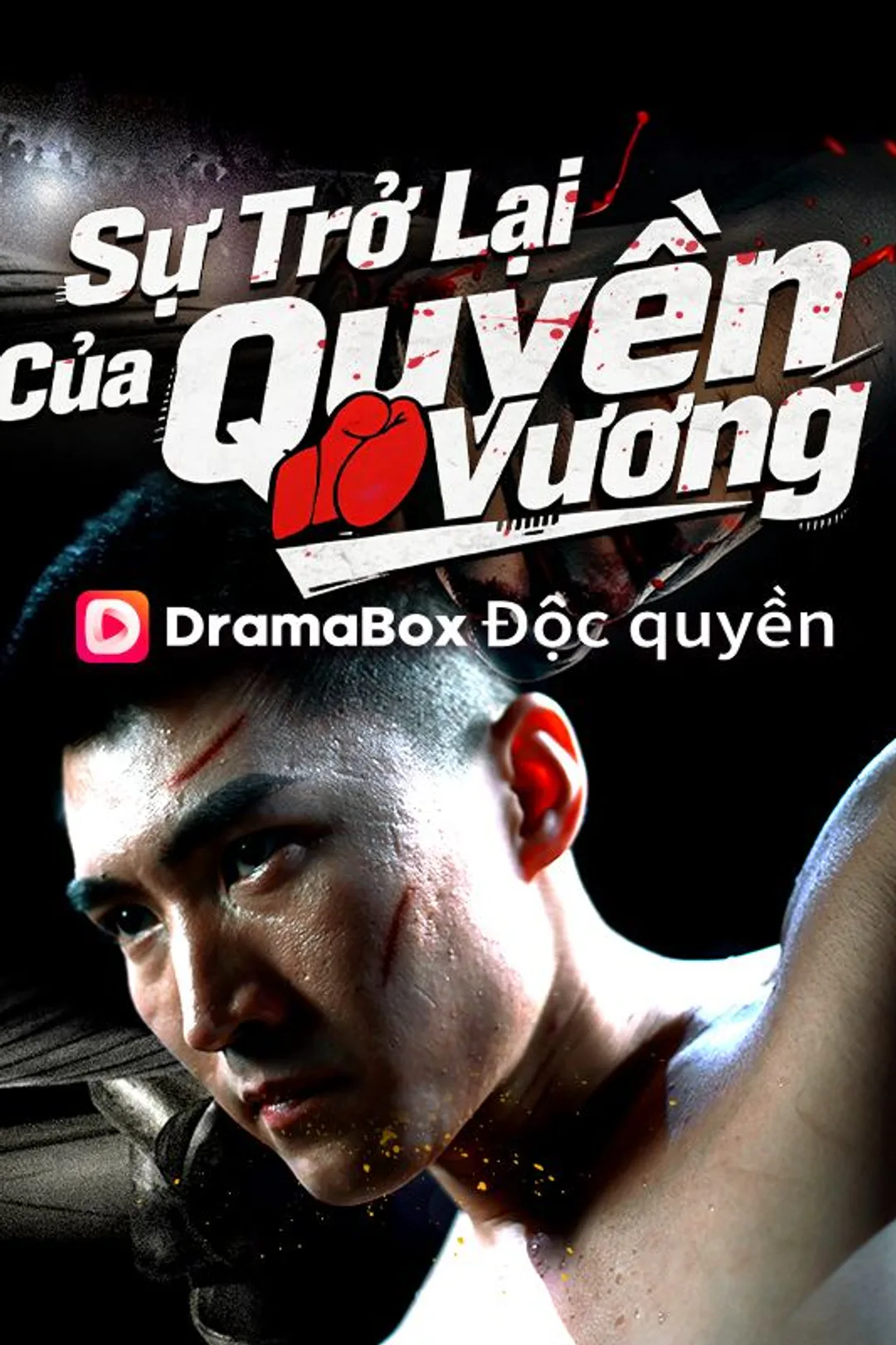 Poster phim Sự Trở Lại Của Quyền Vương