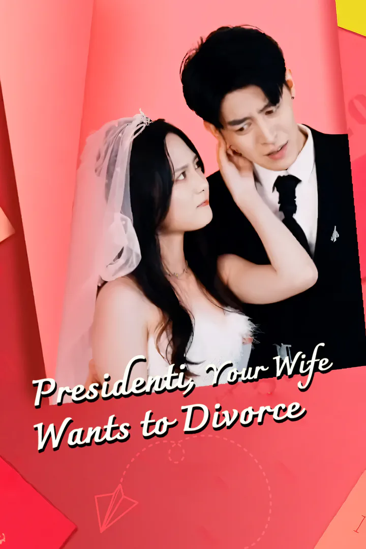 Presidenti, Your Wife Wants to Divorce poster
