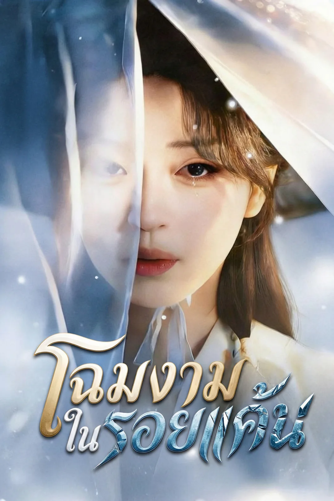 โปสเตอร์ โฉมงามในรอยแค้น