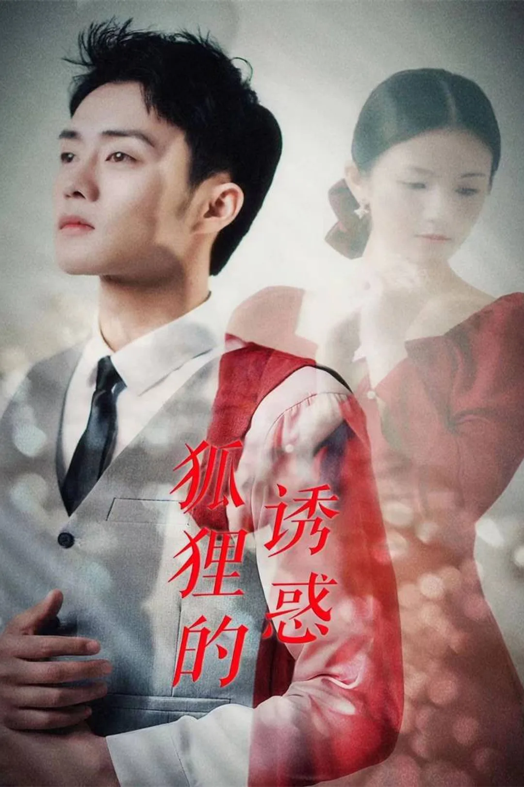 《狐狸的诱惑》海报