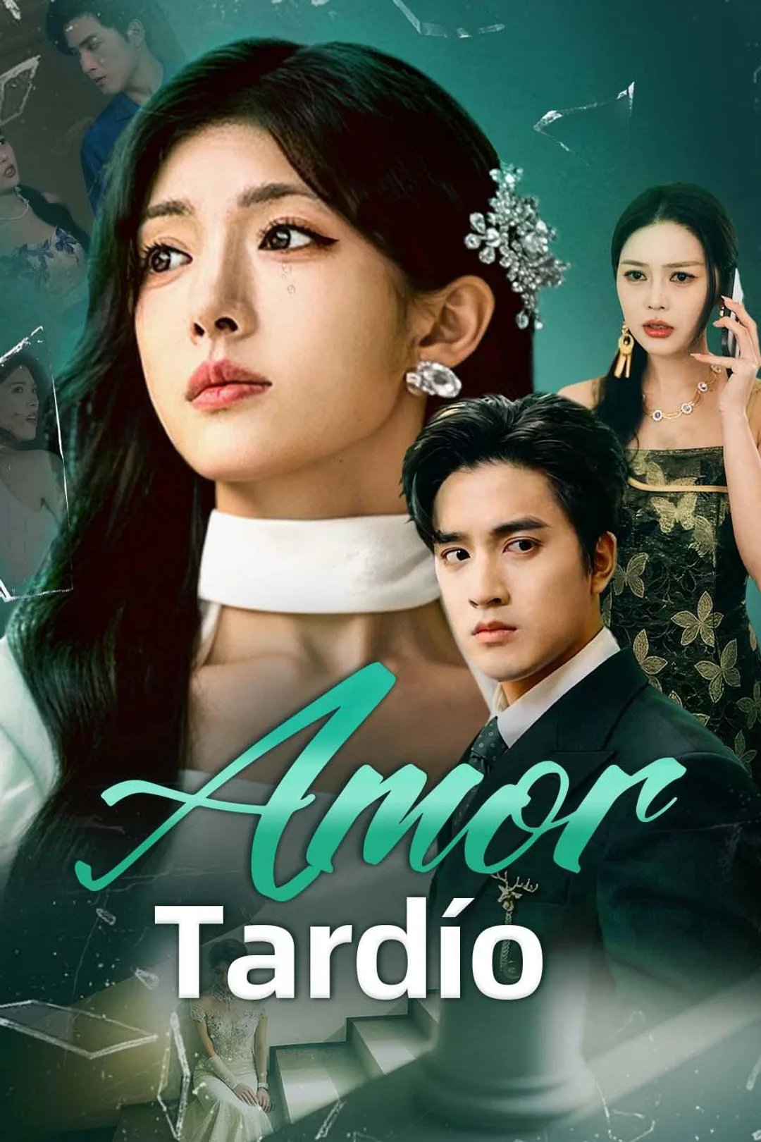 Póster de Amor Tardío