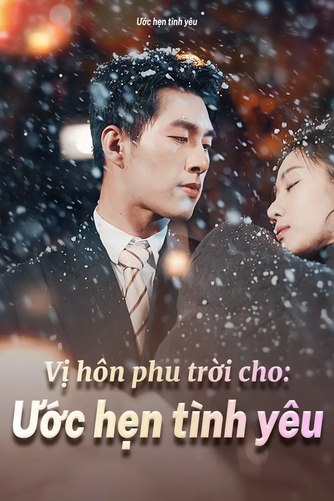 Poster phim Vị hôn phu trời cho: Ước hẹn tình yêu