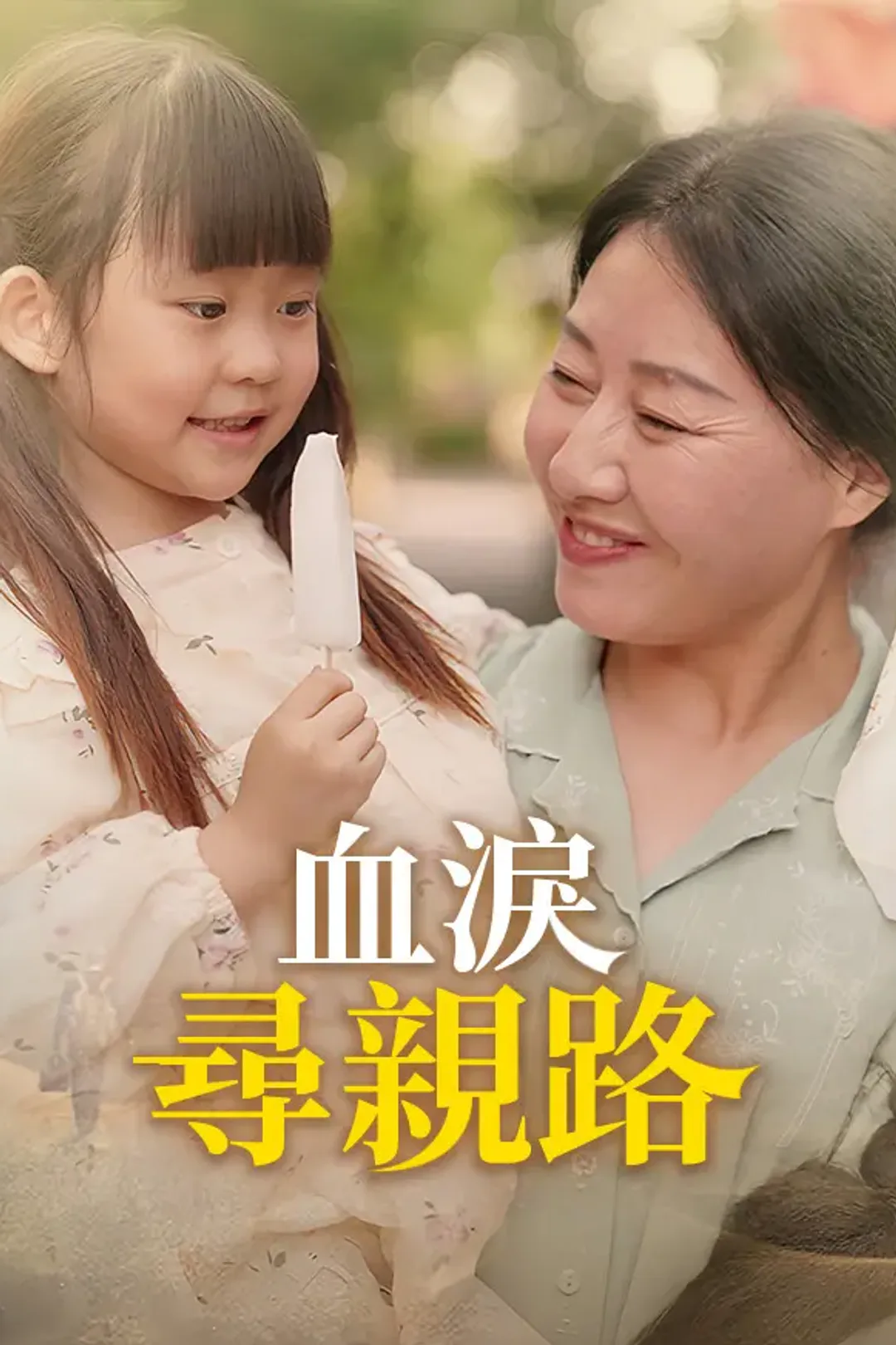 《血淚尋親路》海報