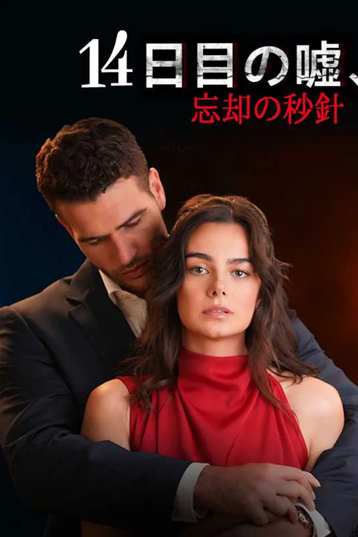14日目の嘘、忘却の秒針のポスター
