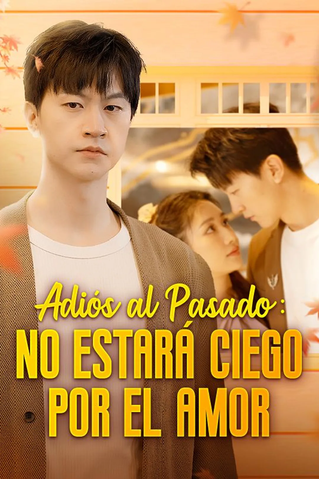 Póster de Adiós al Pasado: No Estará Ciego por el Amor
