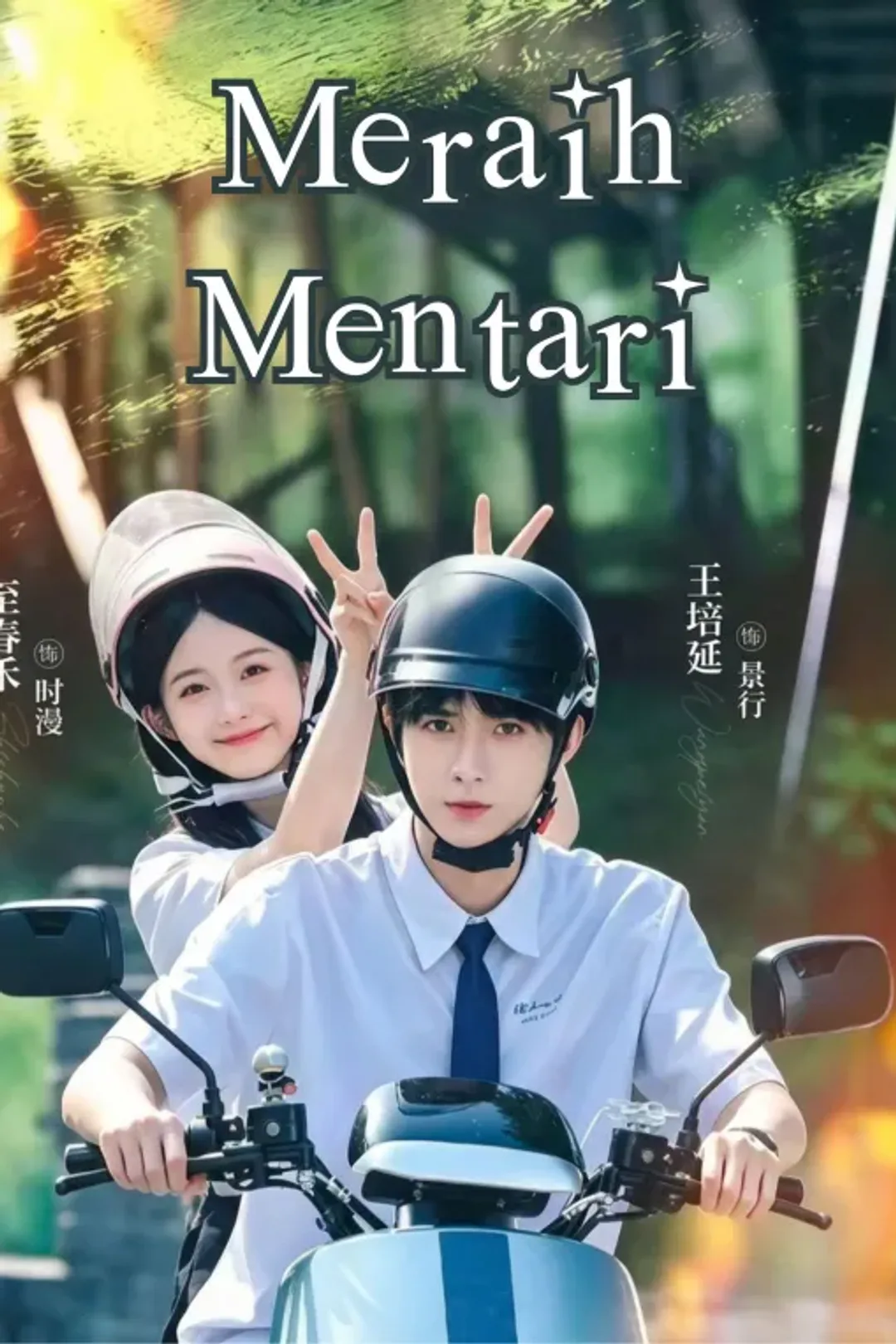 Poster Meraih Mentari