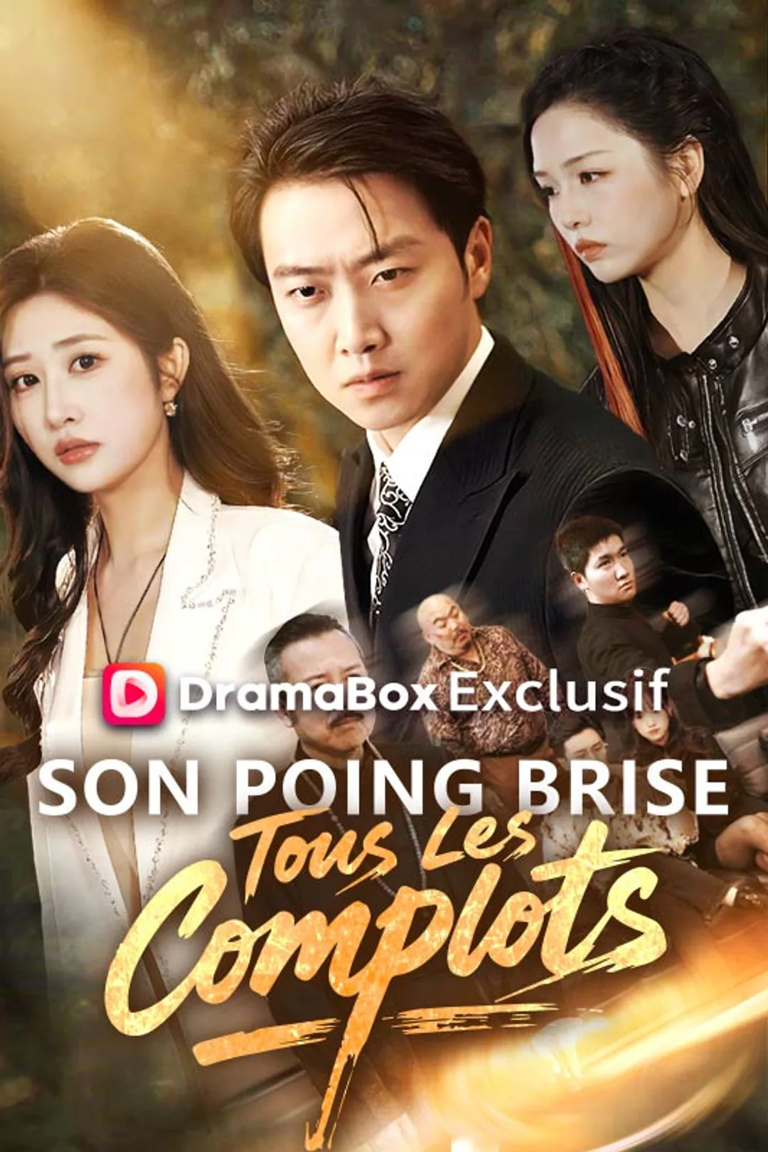 Affiche de Son Poing Brise Tous Les Complots