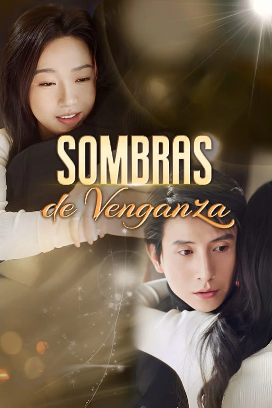 Póster de Sombras de Venganza