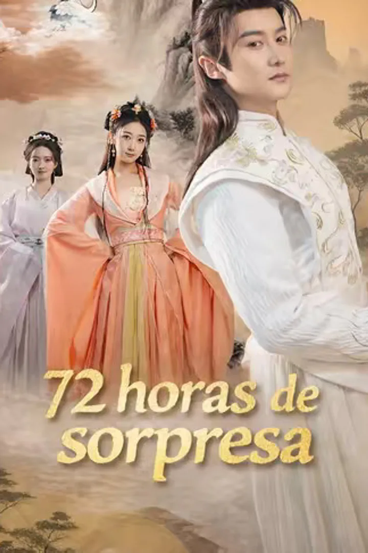 Póster de 72 horas de sorpresa