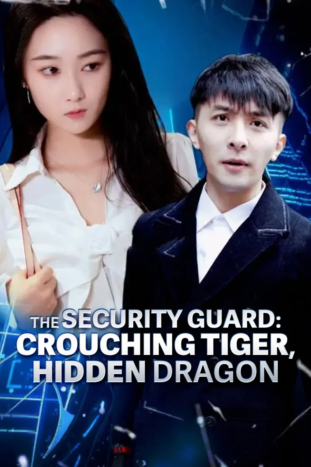 The Security Guard: Crouching Tiger, Hidden Dragon poster