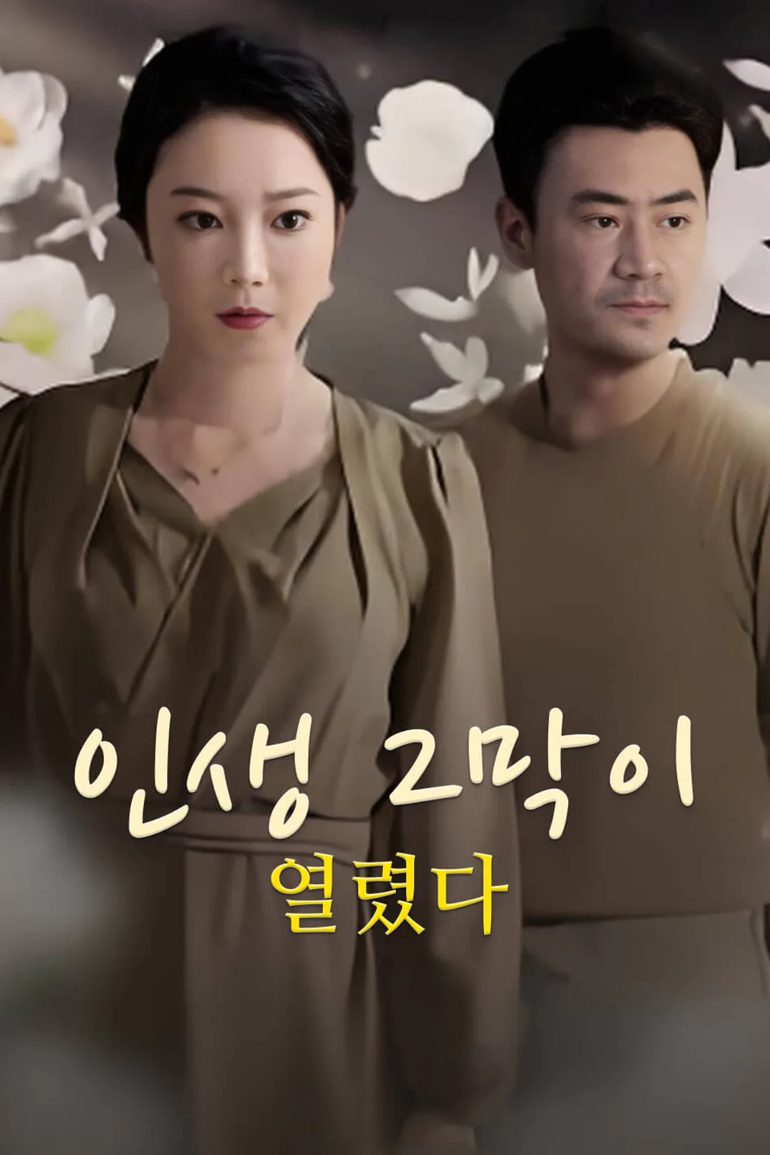 인생 2막이 열렸다 포스터