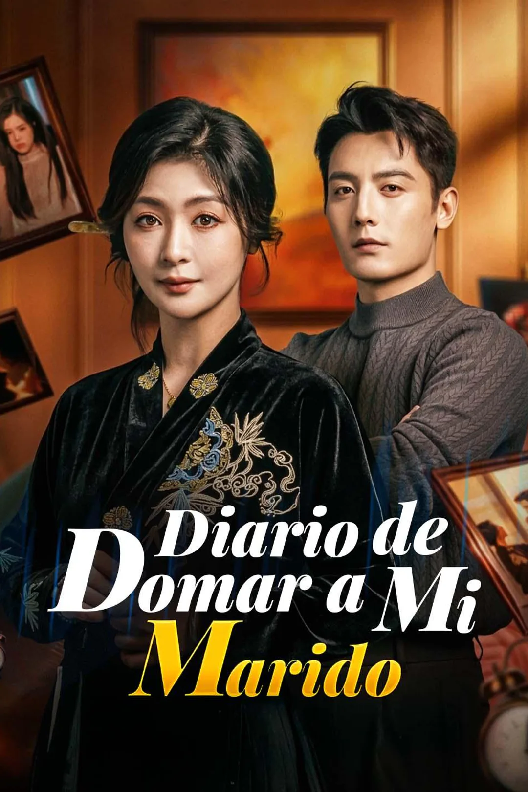 Póster de Diario de Domar a mi Marido