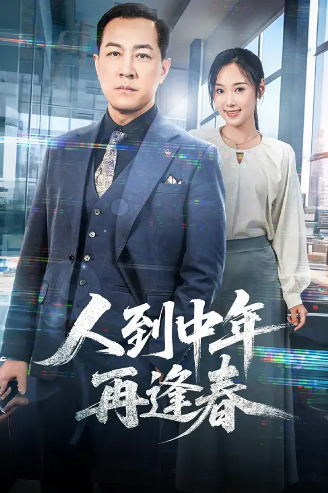 《人到中年再逢春》海报