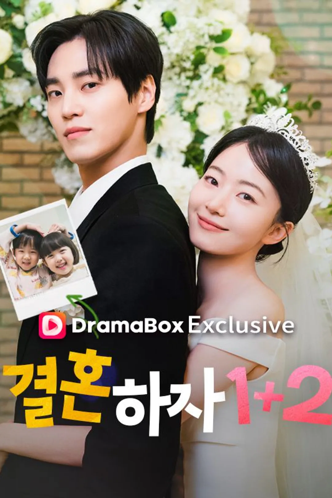 결혼하자 1+2 포스터