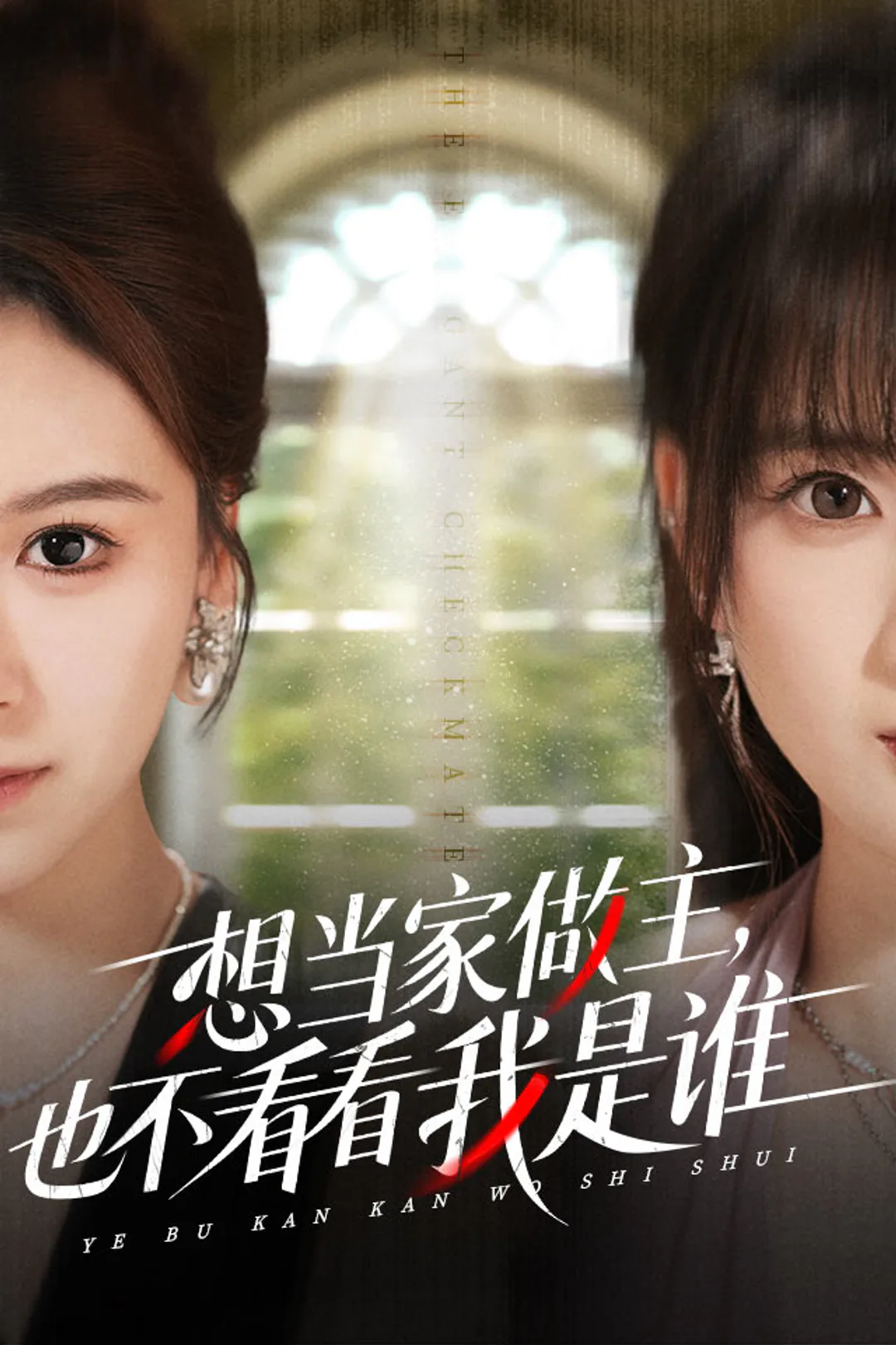 《想当家做主，也不看看我是谁》海报
