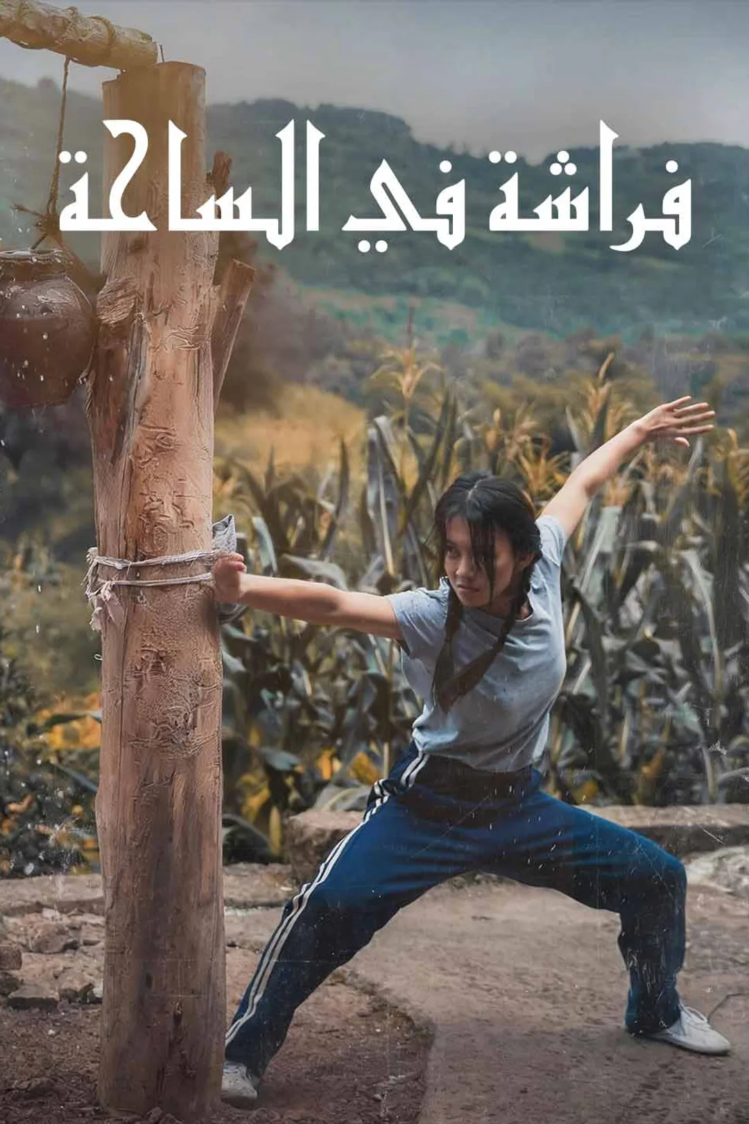 ملصق مسلسل «فراشة في الساحة»