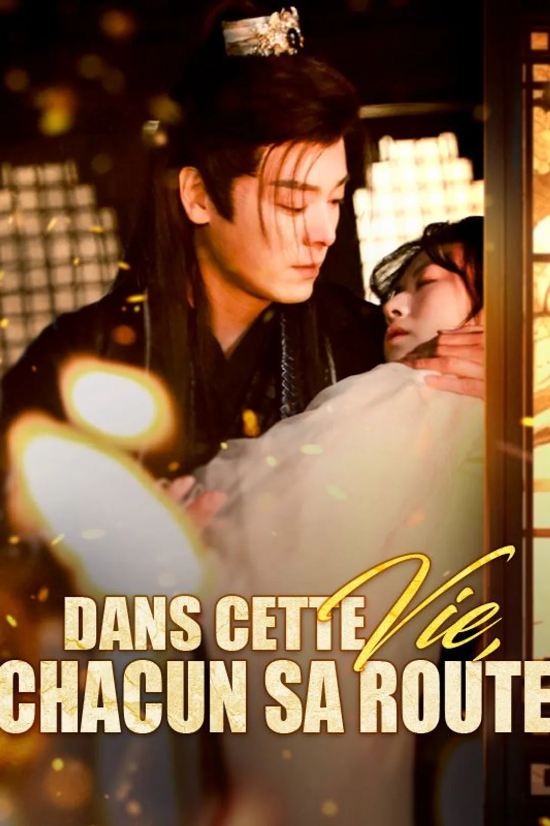 Affiche de Dans Cette Vie, Chacun Sa Route