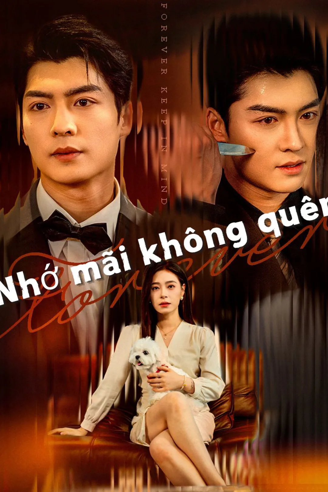 Poster phim Nhớ mãi không quên