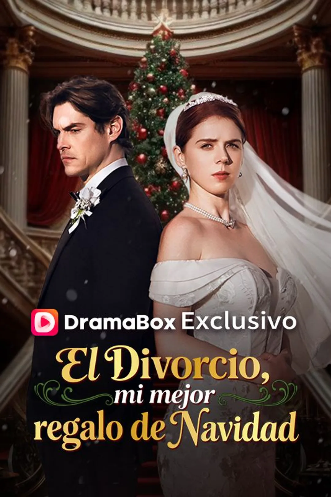 Póster de El divorcio, mi mejor regalo de Navidad