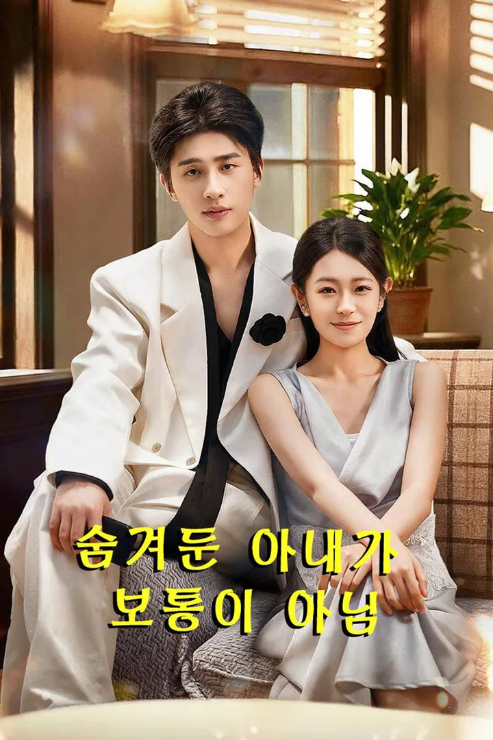 숨겨둔 아내가 보통이 아님 포스터