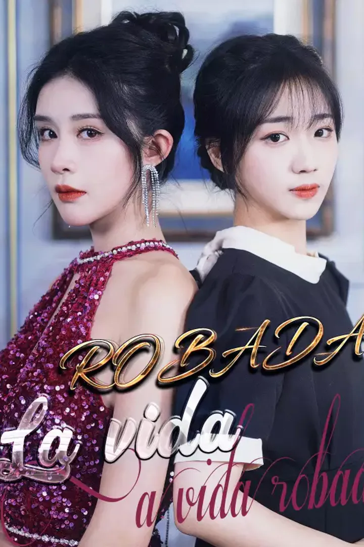 Póster de La vida robada