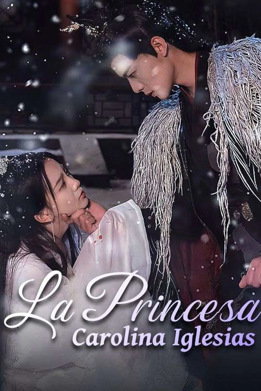 Póster de La Princesa Carolina Iglesias