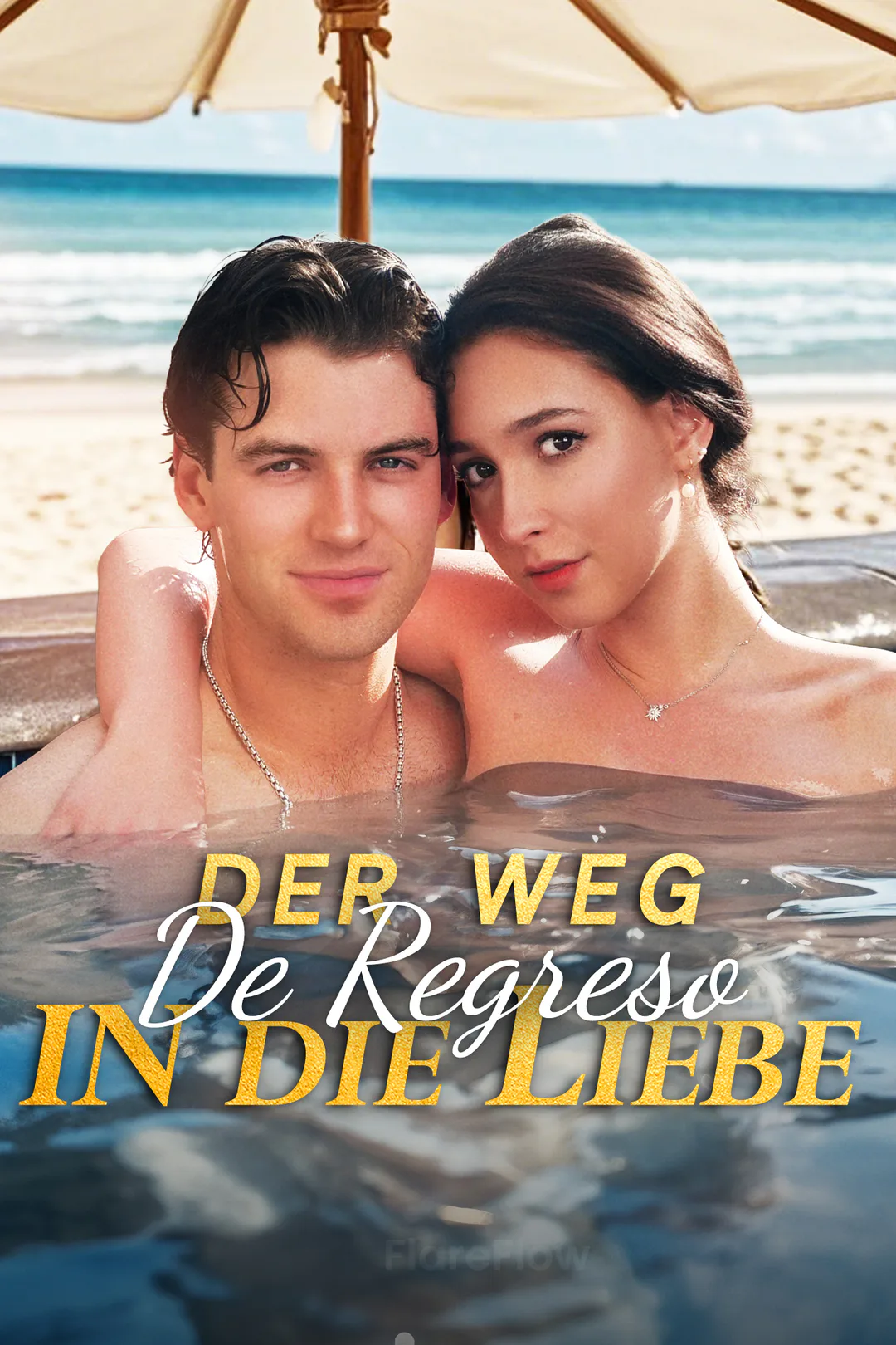 Poster von Der Weg zurück in die Liebe [Synchro]