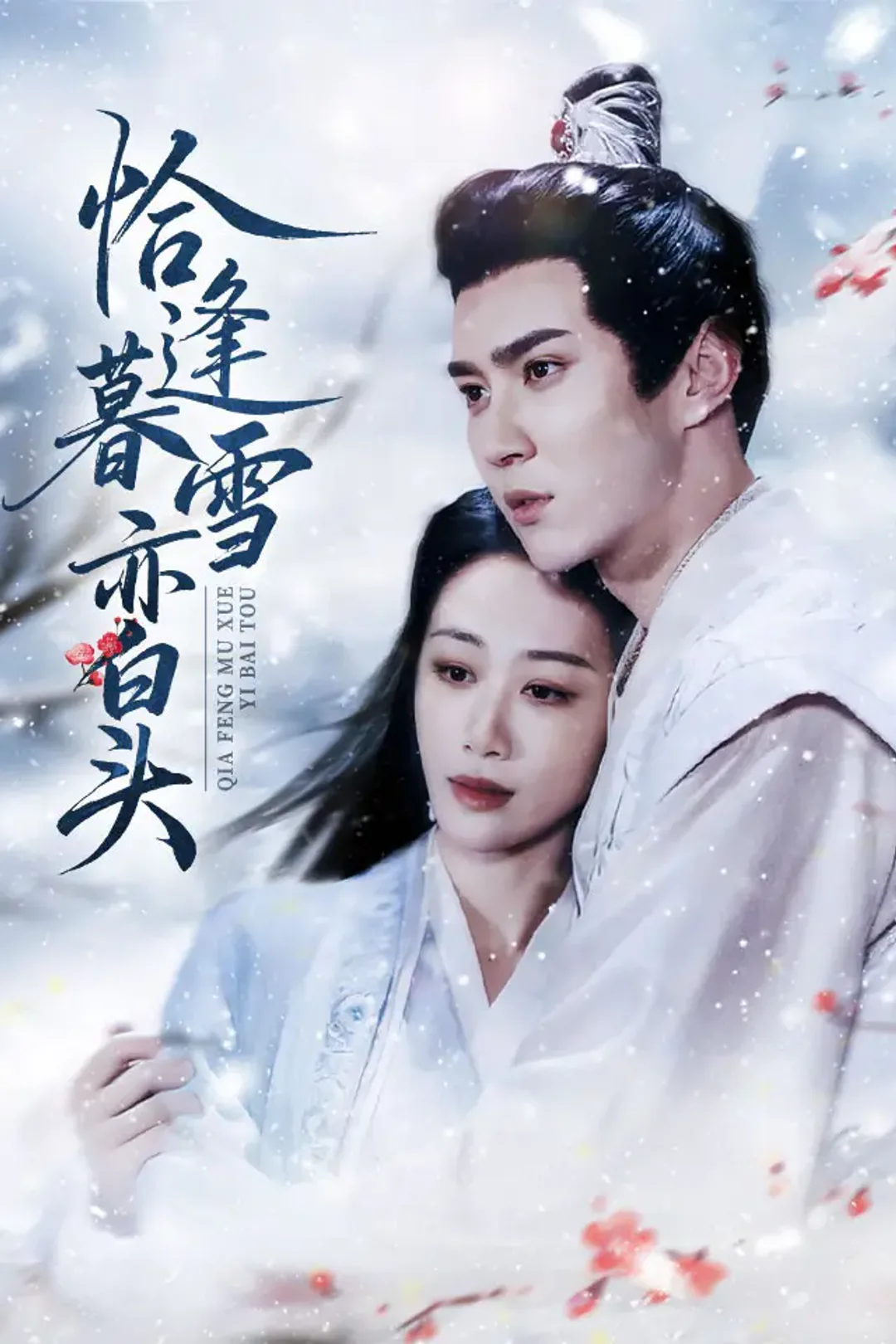 《恰逢暮雪亦白头》海报