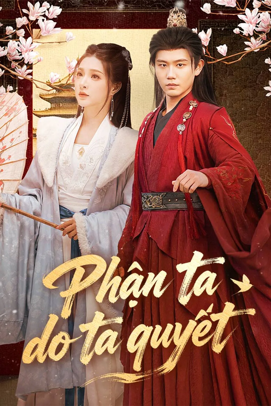 Poster phim Phận ta do ta quyết