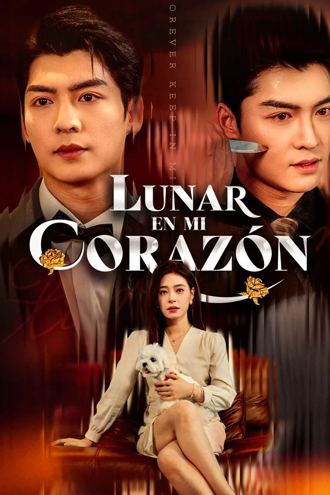 Póster de Lunar en mi corazón