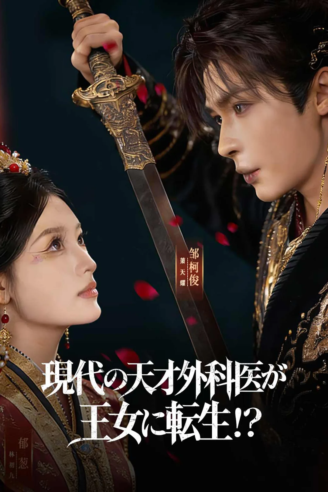 現代の天才外科医が王女に転生！？のポスター
