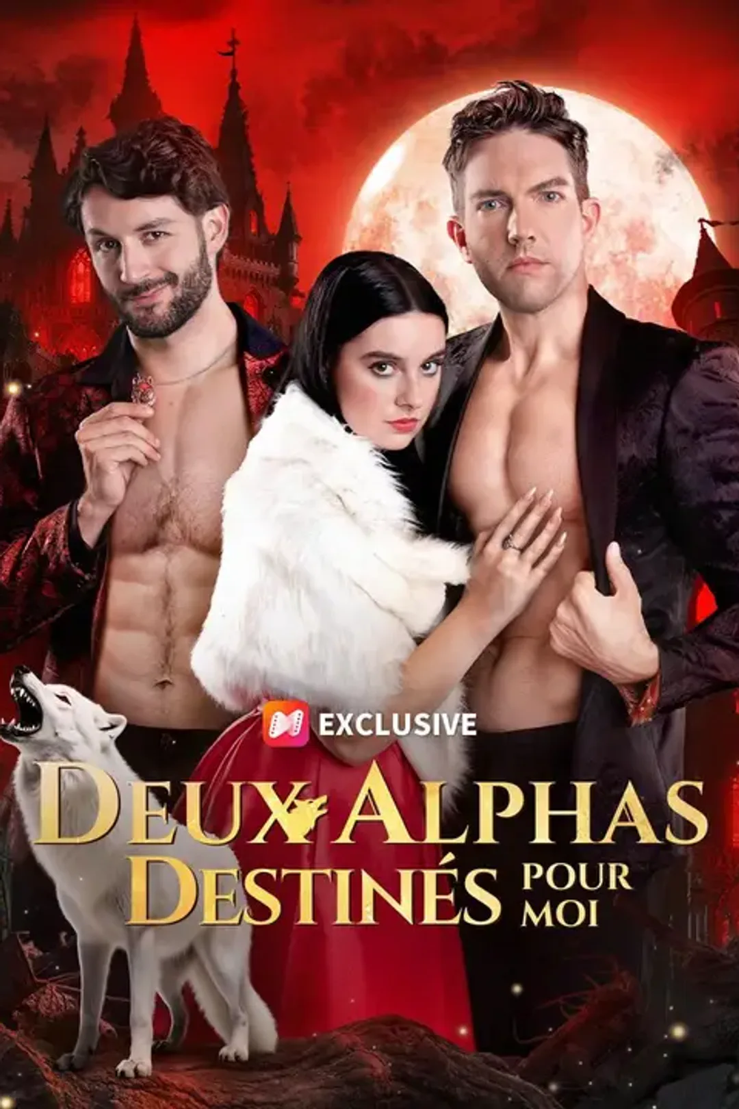 Affiche de Deux alphas destinés pour moi