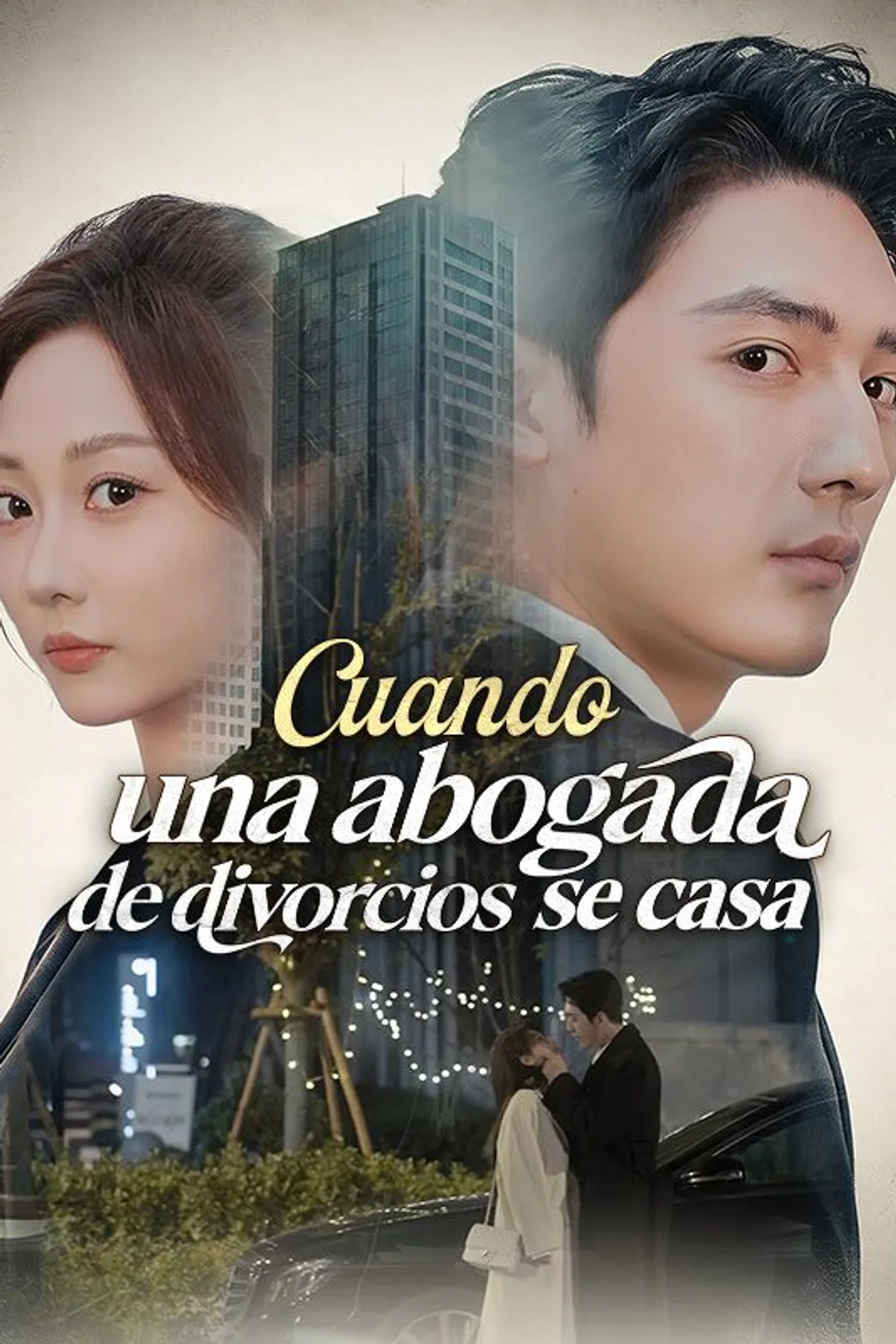 Póster de Cuando una abogada de divorcios se casa
