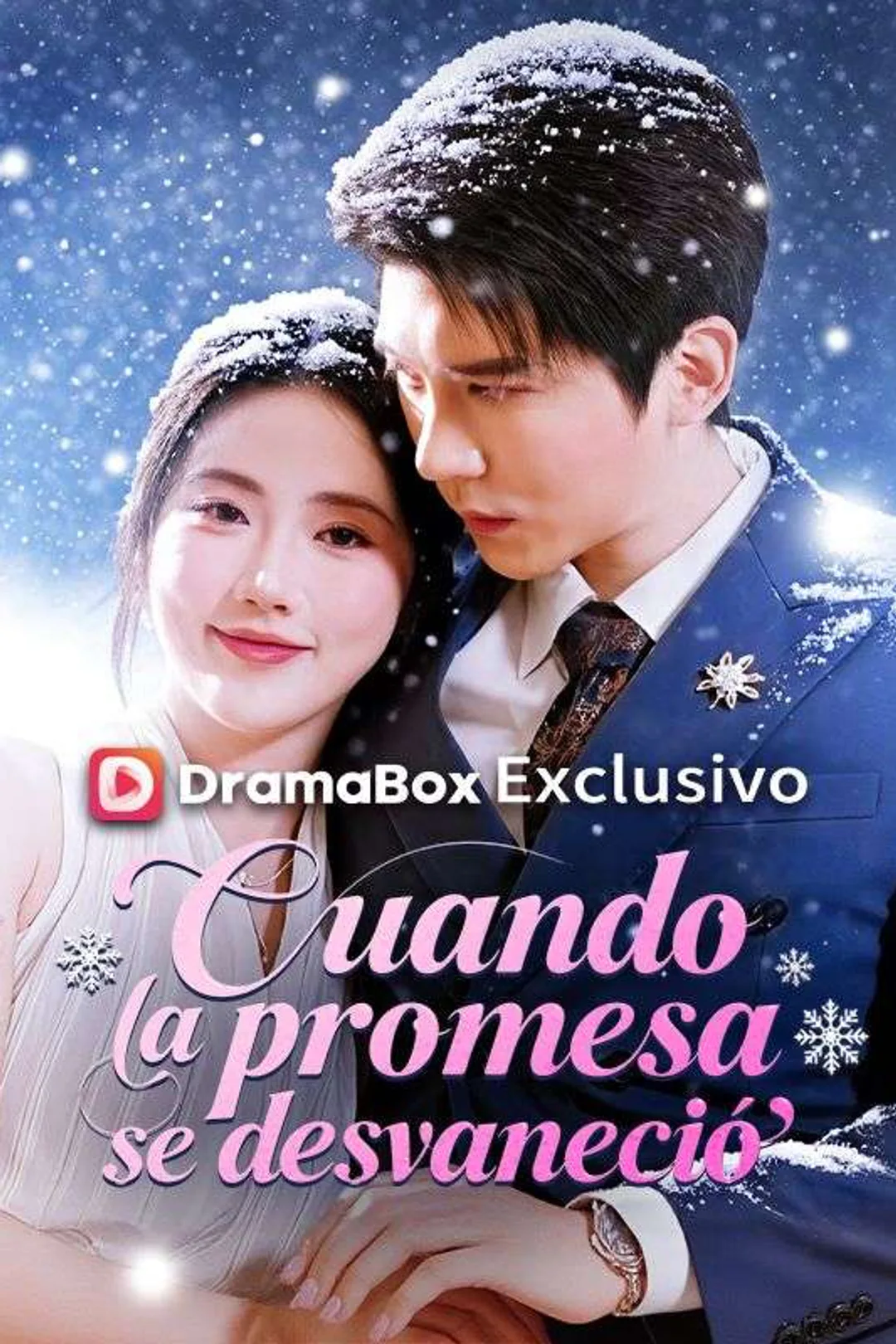 Póster de Cuando la promesa se desvaneció