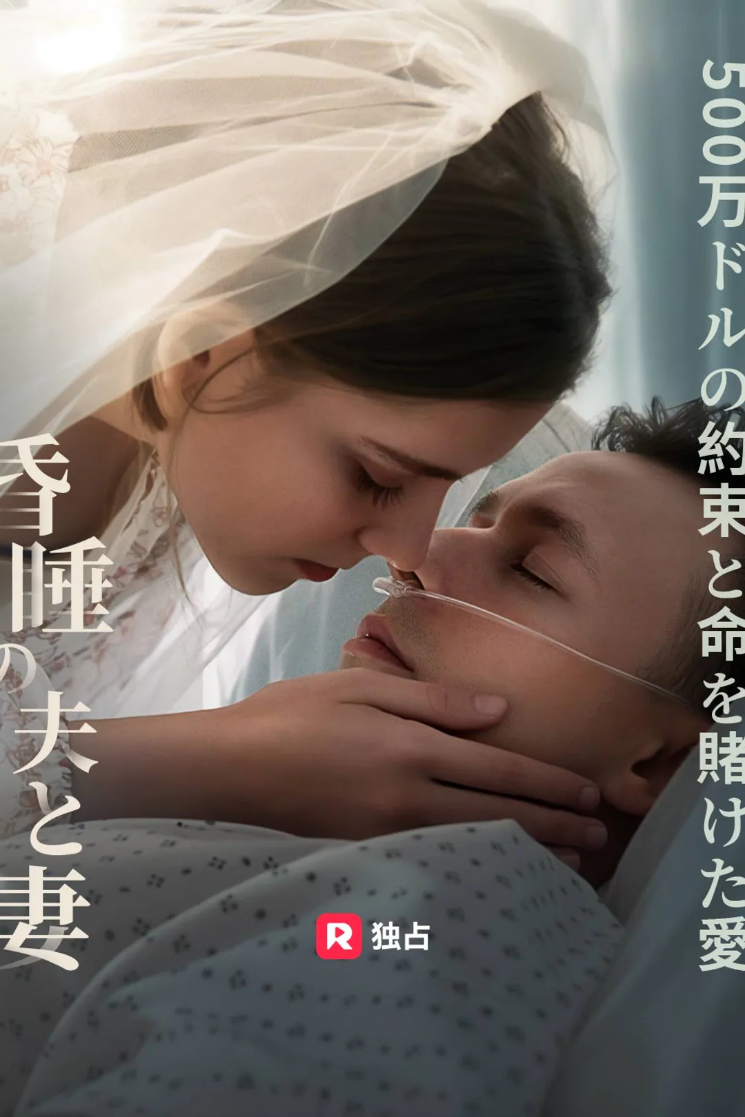 昏睡の夫と妻、 500万ドルの約束と命を賭けた愛のポスター