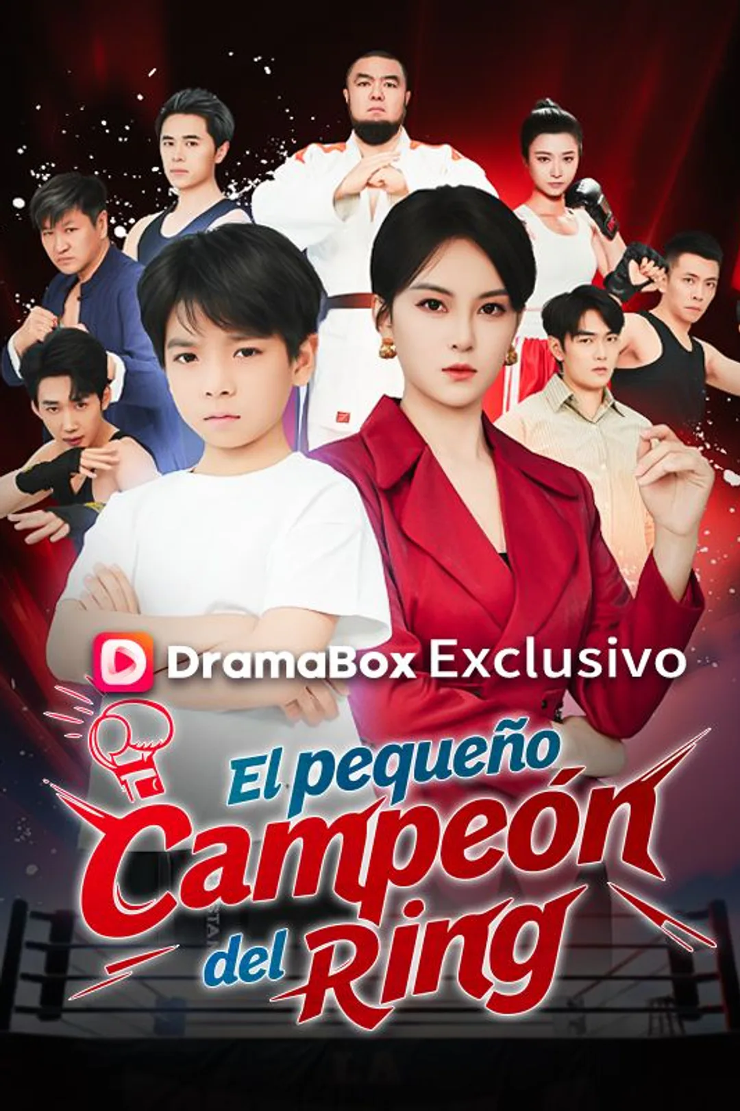 Póster de El pequeño campeón del ring